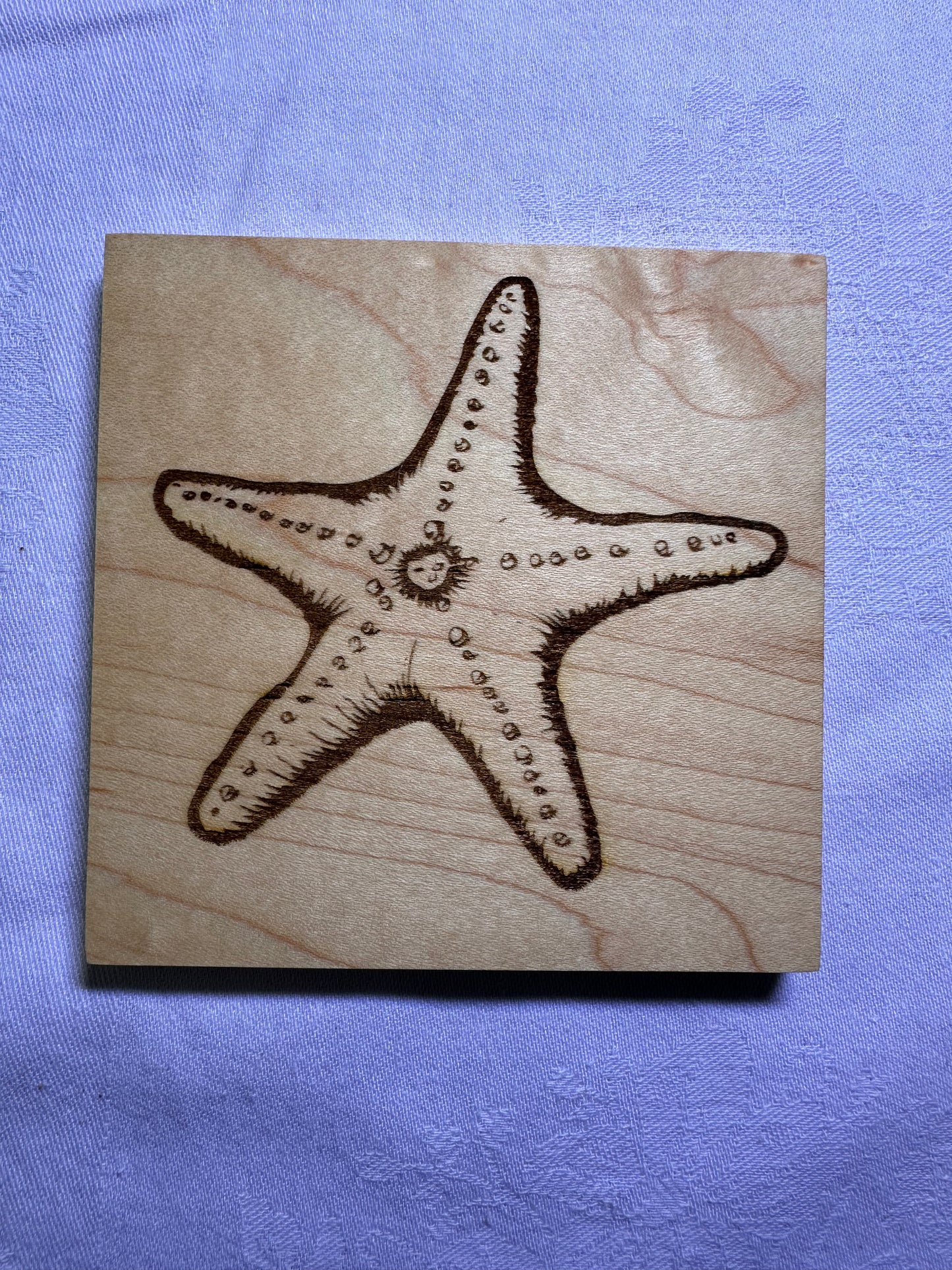 Seashell Wood Coasters