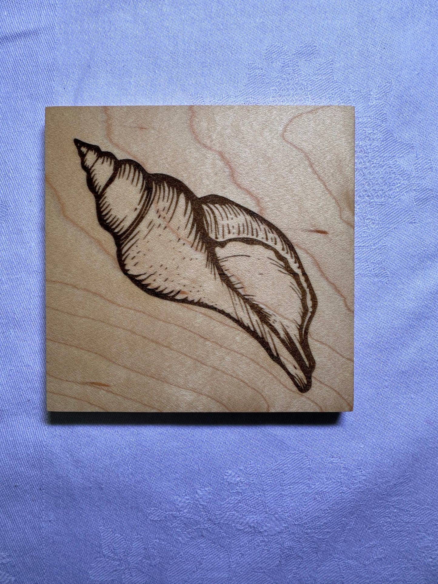 Seashell Wood Coasters
