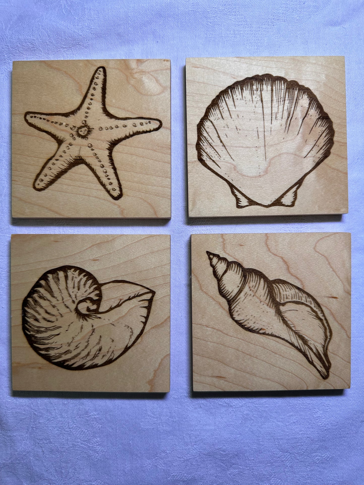 Seashell Wood Coasters